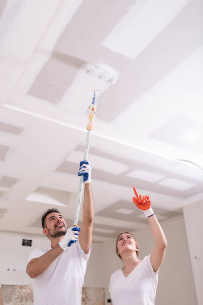 Best Black Mold Removal  in Lexington, TN