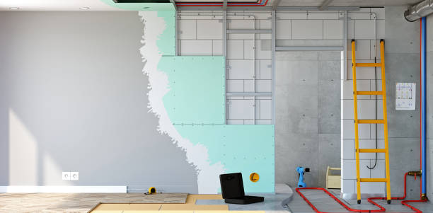 Best Forensic Mold Investigation  in Lexington, TN