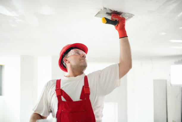 Best Airborne Mold Testing  in Lexington, TN