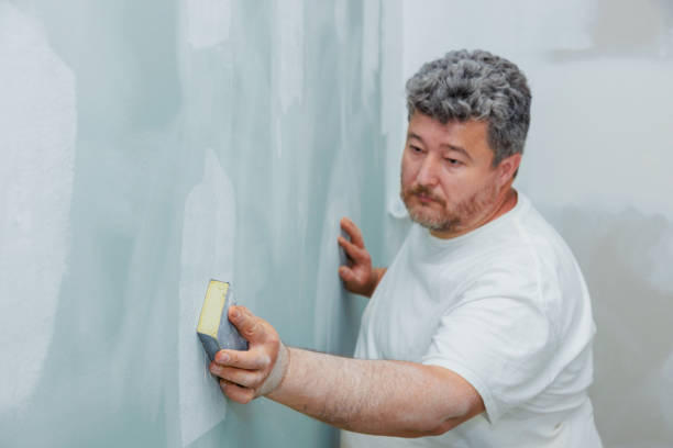 Best Mold Documentation for Insurance Claims  in Lexington, TN