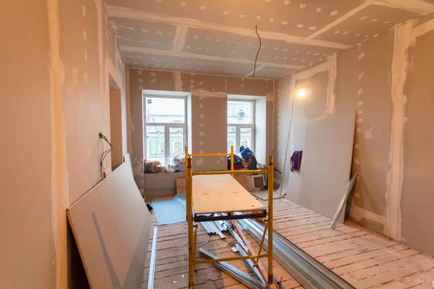 Best Attic Mold Removal  in Lexington, TN